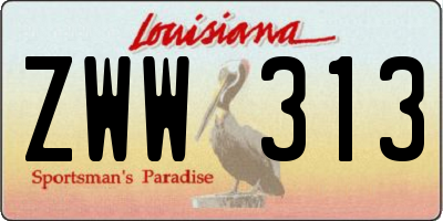 LA license plate ZWW313