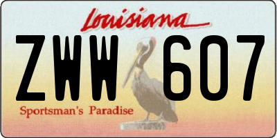 LA license plate ZWW607