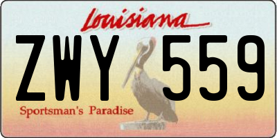 LA license plate ZWY559