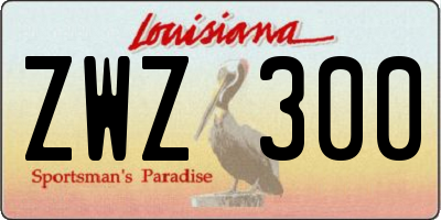 LA license plate ZWZ300