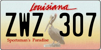 LA license plate ZWZ307