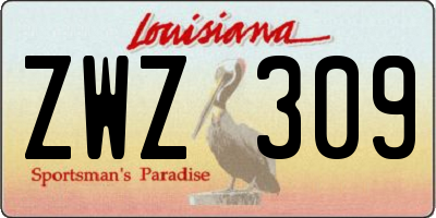 LA license plate ZWZ309