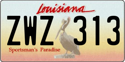 LA license plate ZWZ313