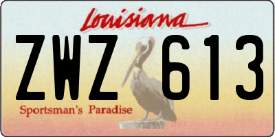 LA license plate ZWZ613