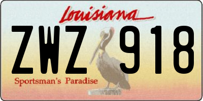 LA license plate ZWZ918