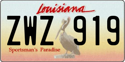 LA license plate ZWZ919