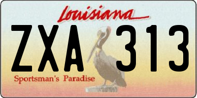 LA license plate ZXA313