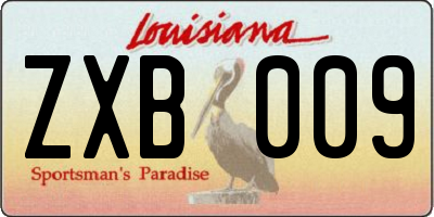 LA license plate ZXB009