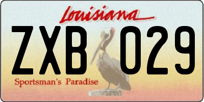 LA license plate ZXB029