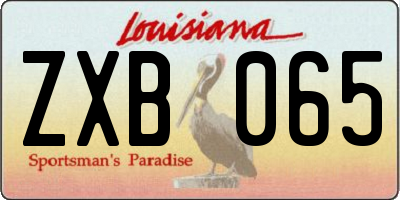 LA license plate ZXB065