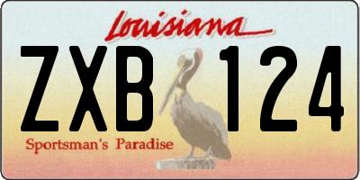 LA license plate ZXB124