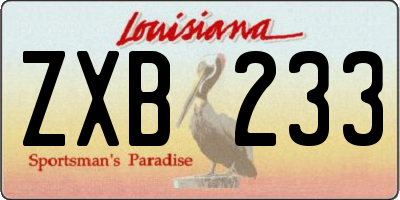 LA license plate ZXB233