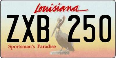 LA license plate ZXB250