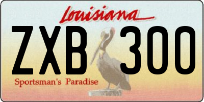 LA license plate ZXB300