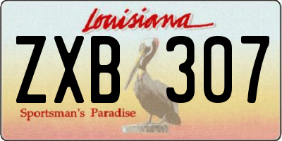 LA license plate ZXB307