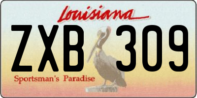 LA license plate ZXB309