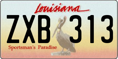 LA license plate ZXB313