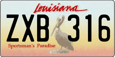 LA license plate ZXB316