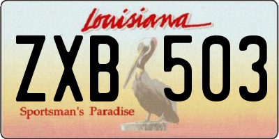 LA license plate ZXB503