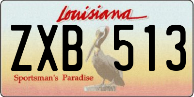 LA license plate ZXB513