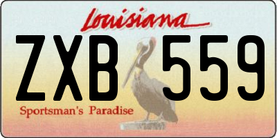 LA license plate ZXB559