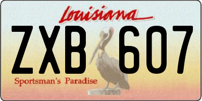 LA license plate ZXB607