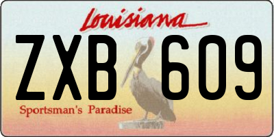 LA license plate ZXB609