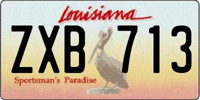 LA license plate ZXB713