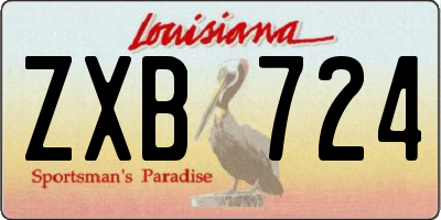 LA license plate ZXB724