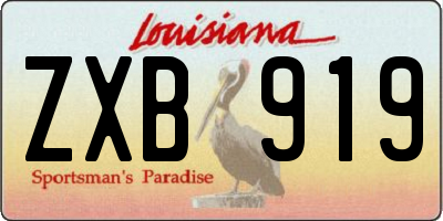LA license plate ZXB919