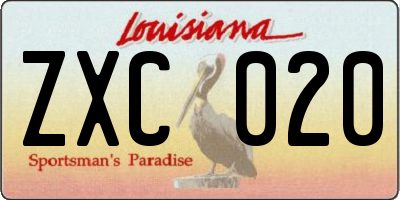 LA license plate ZXC020