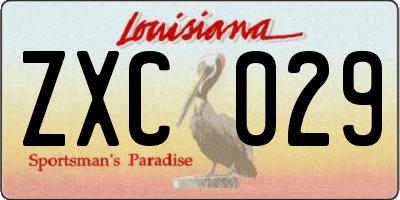 LA license plate ZXC029