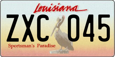 LA license plate ZXC045