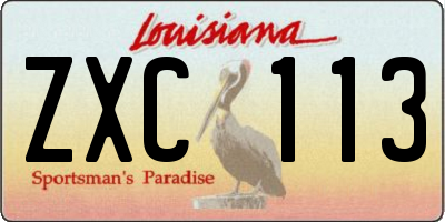 LA license plate ZXC113