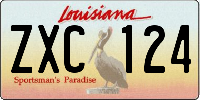 LA license plate ZXC124