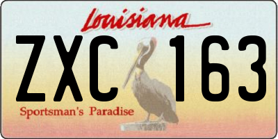 LA license plate ZXC163