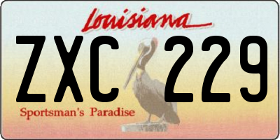 LA license plate ZXC229