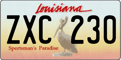 LA license plate ZXC230