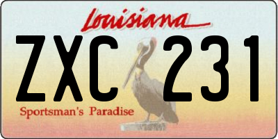 LA license plate ZXC231