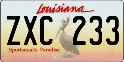 LA license plate ZXC233