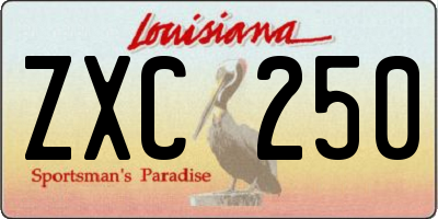 LA license plate ZXC250