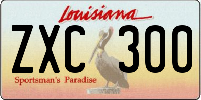 LA license plate ZXC300