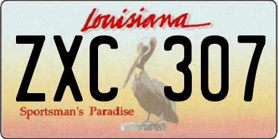 LA license plate ZXC307