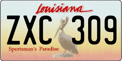 LA license plate ZXC309