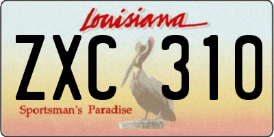 LA license plate ZXC310