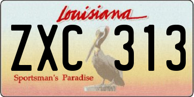 LA license plate ZXC313