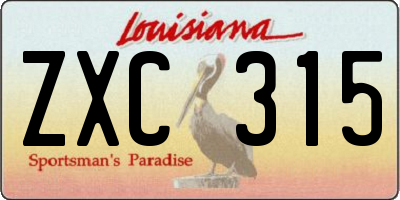 LA license plate ZXC315