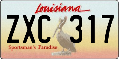 LA license plate ZXC317