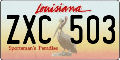 LA license plate ZXC503