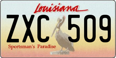 LA license plate ZXC509